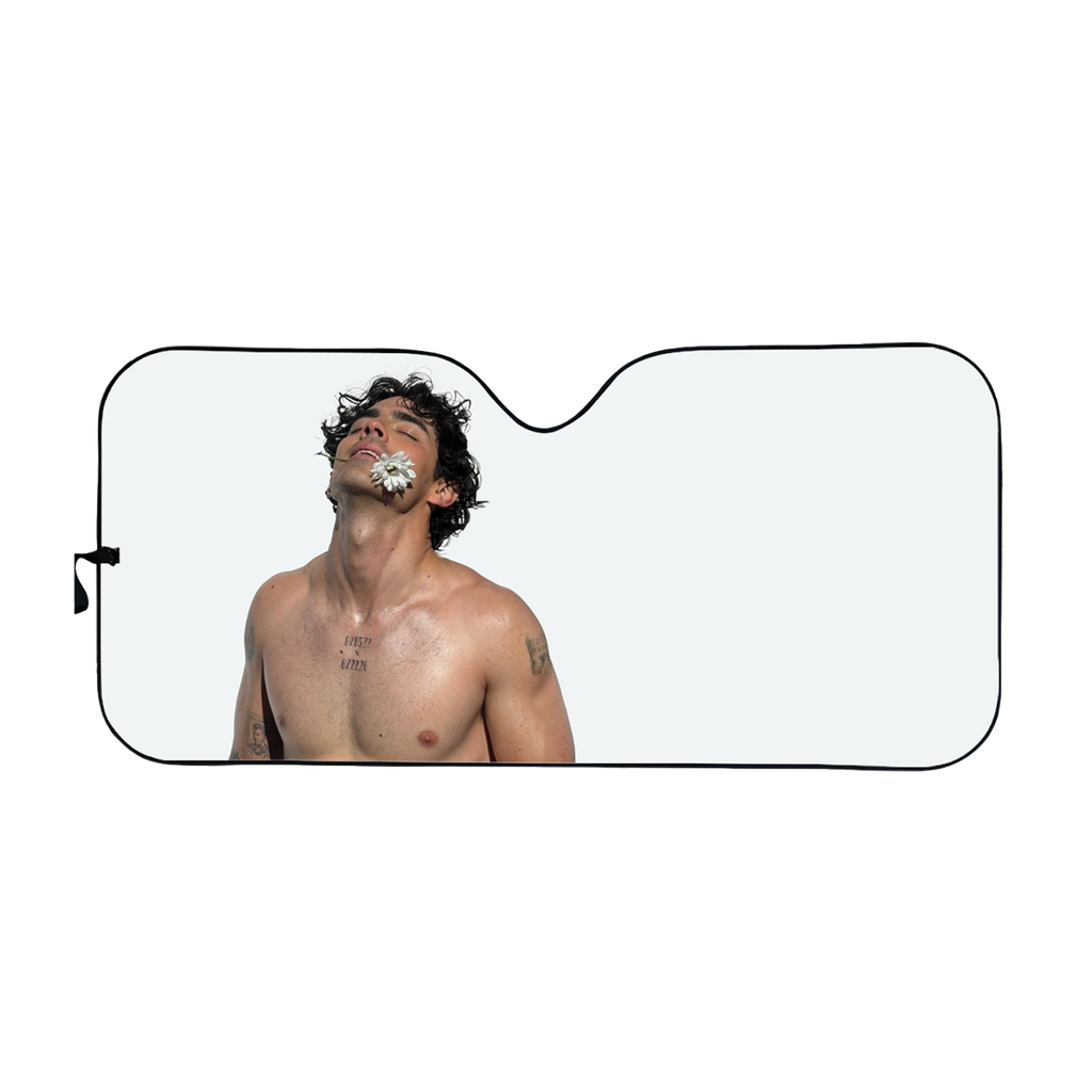 JJ Car Shade – Joe Jonas Official